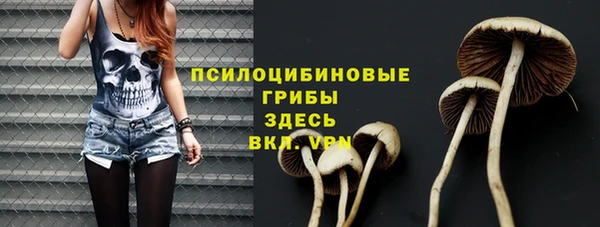 apvp Протвино