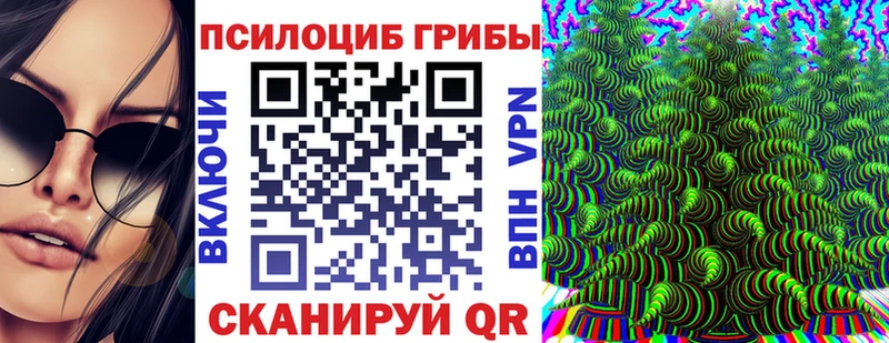 Псилоцибиновые грибы Cubensis  Туймазы 