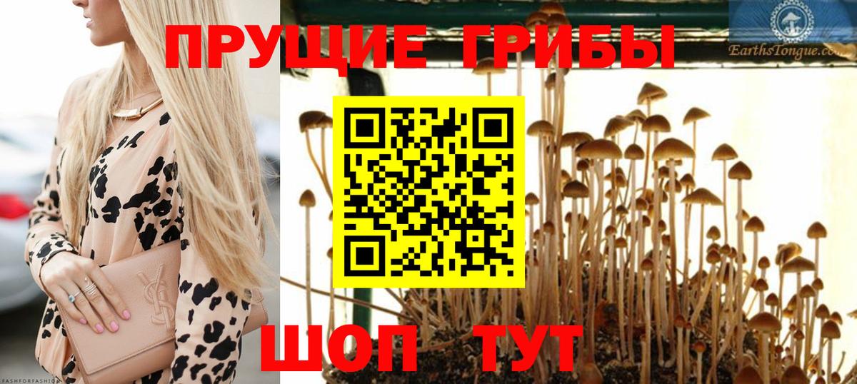 Псилоцибиновые грибы MAGIC MUSHROOMS  Туймазы  Псилоцибиновые грибы MAGIC MUSHROOMS 