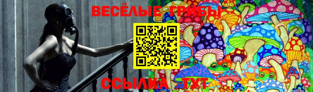 Галлюциногенные грибы ЛСД  Вход с VPN  Туймазы 