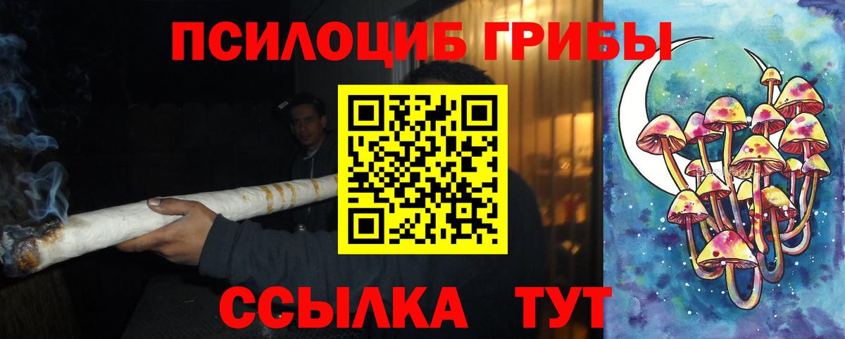 Псилоцибиновые грибы мухоморы Туймазы