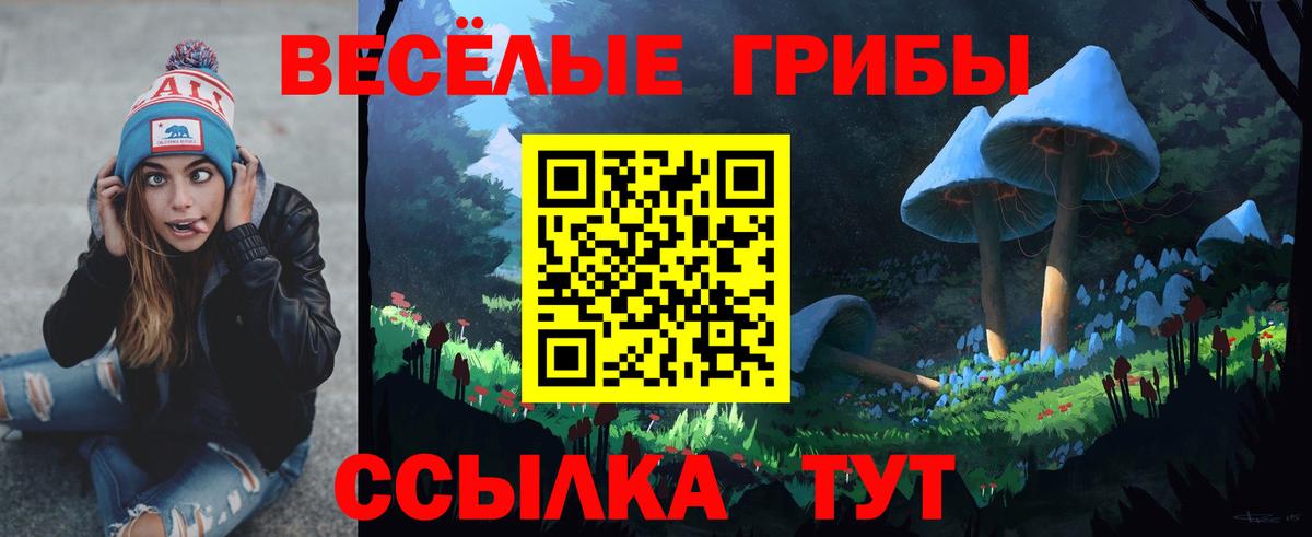 Псилоцибиновые грибы Cubensis Туймазы