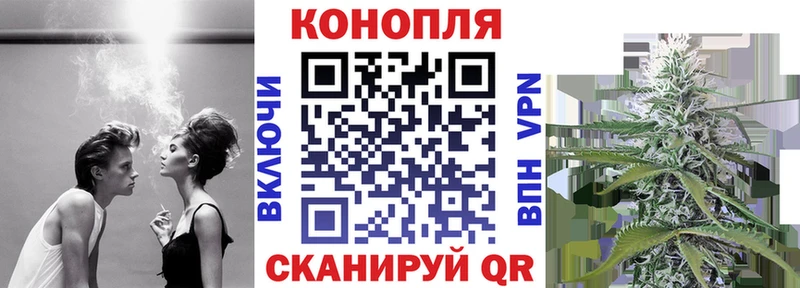 дарнет шоп  Туймазы  МАРИХУАНА сатива 